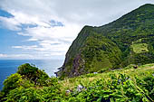 Azzorre, Isola Sao Jorge - Escursione alla Faja dos Cubres.